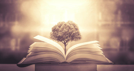 什么是变色龙？